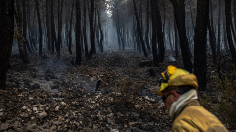 Un bombero trabaja en la extinción del incendio en la Sierra Culebra , a 16 de junio de 2022, en Zamora, Castilla y León, (España). EUROPA PRESS Un bombero trabaja en la extinción del incendio en la Sierra Culebra , a 16 de junio de 2022, en Zamora, Castilla y León, (España). EUROPA PRESS