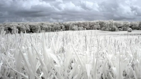 Crédito de la fotografía: Andrew Shurtleff, Creative Commons ir