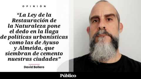 David Bollero - TW- (21)