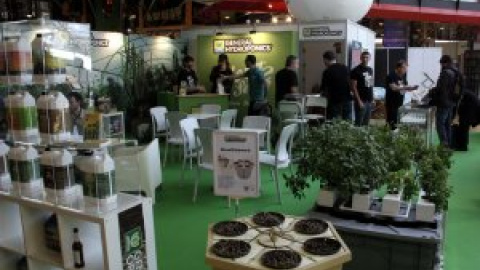 El boom del cànnabis: entre l'ús terapèutic i el negoci 'caçaturistes' El boom del cànnabis: entre l'ús terapèutic i el negoci 'caçaturistes'