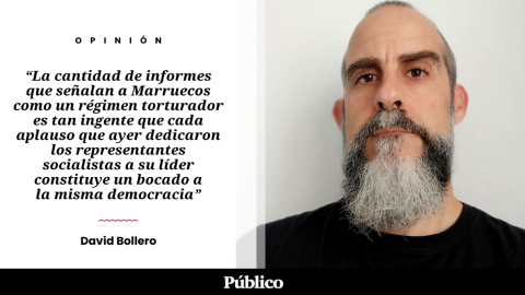 David Bollero - TW