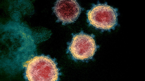 Fuente: National Institutes of Health Fuente: National Institutes of Health