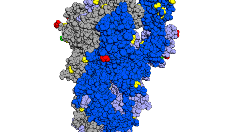 Spike_omicron_mutations_side Fuente: OMS