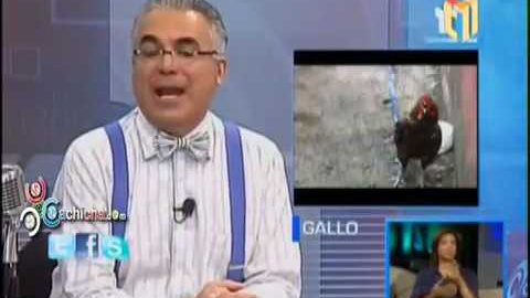 Un gallo que canta "Cristo viene"