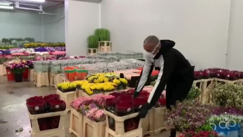 Este año Sant Jordi será online Este año Sant Jordi será online