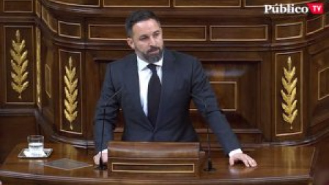 Santiago Abascal carga contra el Ingreso Mínimo Vital en el Congreso de los Diputados Santiago Abascal carga contra el Ingreso Mínimo Vital en el Congreso de los Diputados