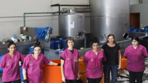 Mulleres colleiteiras: el círculo de la economía social Mulleres colleiteiras: el círculo de la economía social