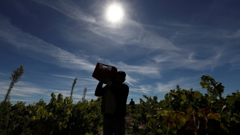 Un agricultor trabaja en un campo de Moradillo de Roa, Burgos. (Reuters/Sergio Pérez) Un agricultor trabaja en un campo de Moradillo de Roa, Burgos. (Reuters/Sergio Pérez)