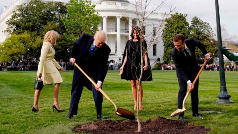 Trump y Macron plantan el roble que simbolizaba su amistad delante de la Casa Blanca en abril de 2018. (JOSHUA ROBERTS | REUTERS) Trump y Macron plantan el roble que simbolizaba su amistad delante de la Casa Blanca en abril de 2018. (JOSHUA ROBERTS | REUTERS)