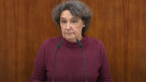 La directora del Instituto de la Mujer, Beatriz Gimeno. / CAPTURA YOUTUBE La directora del Instituto de la Mujer, Beatriz Gimeno. / CAPTURA YOUTUBE