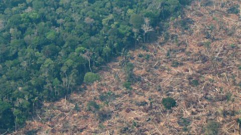 Vista de la Amazonia brasileña de Rondonia, en una fotografía de archivo. -EFE/Joédson Alves Vista de la Amazonía brasileña de Rondonia, en una fotografía de archivo. EFE/Joédson Alves