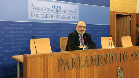 Alejandro Hernández, portavoz de Vox en el Parlamento de Andalucía. Europa Press Alejandro Hernández, portavoz de Vox en el Parlamento de Andalucía. Europa Press