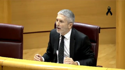 Marlaska dice que ni él ni nadie de la Guardia Civil solicitó el informe del 8M Marlaska dice que ni él ni nadie de la Guardia Civil solicitó el informe del 8M