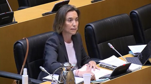PP dice que Gobierno usa situación como "carta blanca" PP dice que Gobierno usa situación como "carta blanca"