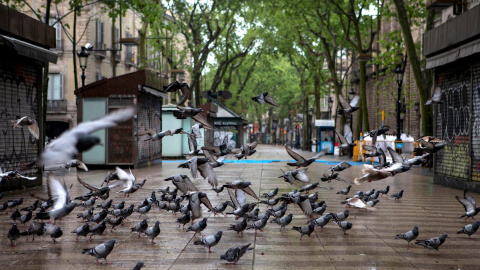 Las Ramblas vacías Las Ramblas vacías