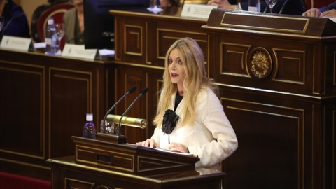 La presidenta del Observatorio de Violencia Doméstica y de Género del Consejo General del Poder Judicial (CGPJ), Ángeles Carmona. / EUROPA PRESS - RICARDO RUBIO La presidenta del Observatorio de Violencia Doméstica y de Género del Consejo General del Poder Judicial (CGPJ), Ángeles Carmona. / EUROPA PRESS - RICARDO RUBIO