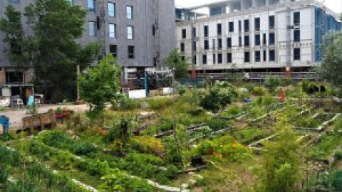 El huerto de Poblenou, espacio de resistencia en el que aún florece el espíritu del 15M El huerto de Poblenou, espacio de resistencia en el que aún florece el espíritu del 15M