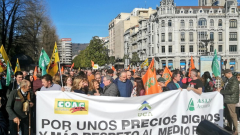 Manifestantes en la concentración de Oviedo. / Twitter-Teresa Mallada De Castro Manifestantes en la concentración de Oviedo. / Twitter-Teresa Mallada De Castro