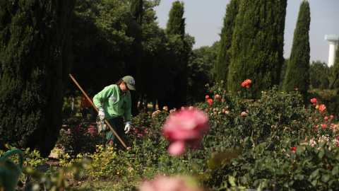 Una jardinera trabaja en el Real Jardín Botánico Juan Carlos I de la Universidad de Alcalá, Una jardinera trabaja en el Real Jardín Botánico Juan Carlos I de la Universidad de Alcalá,