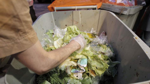 Montones de lechuga en el interior de un contenedor de basura.EFE/Kiko Huesca