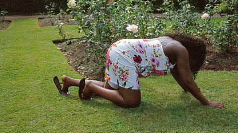 Lua Ribeira Lua Ribeira