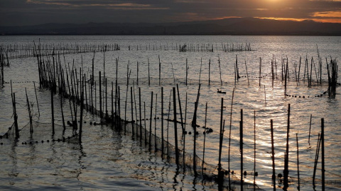 Imagen de La Albufera. (EFE/Kai Försterling) Imagen de La Albufera. (EFE/Kai Försterling)