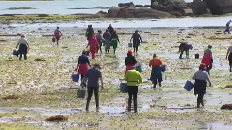 Los negocios que se lleva por delante el cierre de la hostelería Los negocios que se lleva por delante el cierre de la hostelería