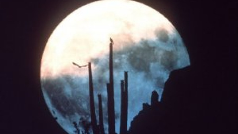 Nuevas evidencias sobre la presencia de agua en la Luna Nuevas evidencias sobre la presencia de agua en la Luna
