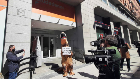 Un 'dinosaurio', en la sede de 'Ciudadanos'.- MARTA MONFORTE Un 'dinosaurio', en la sede de 'Ciudadanos'.- MARTA MONFORTE