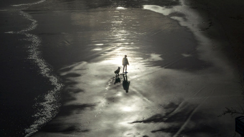 28/01/2020.- Un hombre pasea con su perro por la playa del Sardinero en Cantabria, este martes. Se esperan lluvias débiles y dispersas así como pocos cambios en temperaturas, excepto las máximas en Cantabria del Ebro donde ascenderán. Viento de compon 28/01/2020.- Un hombre pasea con su perro por la playa del Sardinero en Cantabria, este martes. Se esperan lluvias débiles y dispersas así como pocos cambios en temperaturas, excepto las máximas en Cantabria del Ebro donde ascenderán. Viento de compon