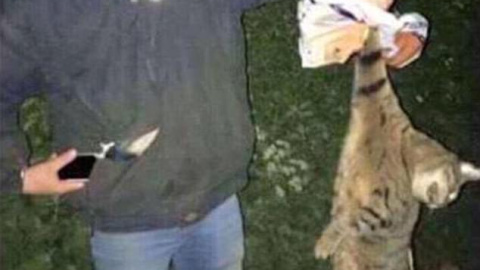 Imagen en la que uno de los alumnos posa con el cadáver de un gato Imagen en la que uno de los alumnos posa con el cadáver de un gato
