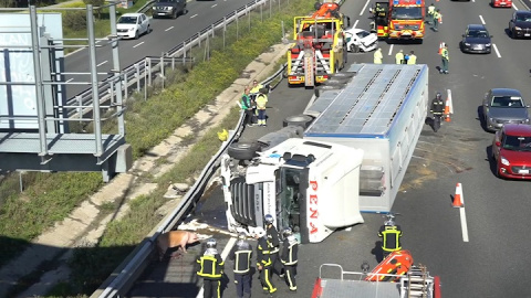 Un camión lleno de cerdos choca contra un guardarraíl de la A-6 Un camión lleno de cerdos choca contra un guardarraíl de la A-6