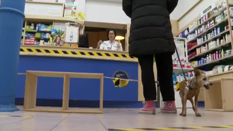 Se harán test rápidos a los farmacéuticos de Madrid Se harán test rápidos a los farmacéuticos de Madrid