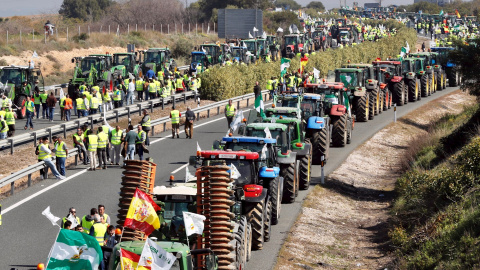 25/02/2020.- La 'tractorada' de agricultores y ganaderos, que cortan la carretera A-4 a la altura de la localidad sevillana de Carmona. EFE/José Manuel Vidal 25/02/2020.- La 'tractorada' de agricultores y ganaderos, que cortan la carretera A-4 a la altura de la localidad sevillana de Carmona. EFE/José Manuel Vidal