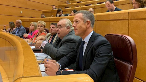 Bancada socialista en el Senado, con el portavoz, Ander Gil, en primer plano. EUROPA PRESS/Archivo. Bancada socialista en el Senado, con el portavoz, Ander Gil, en primer plano. EUROPA PRESS/Archivo.
