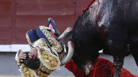 Cogida del torero Iván Fandiño. EFE Cogida del torero Iván Fandiño. EFE