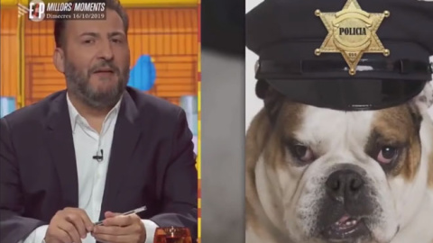 Extracto del 'sketch' en el que se ve al presentador Toni Soler, y uno de los perros relacionados con la polémica. / YouTube Extracto del 'sketch' en el que se ve al presentador Toni Soler, y uno de los perros relacionados con la polémica. / YouTube