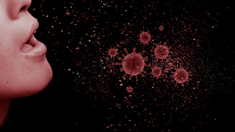Coronavirus. / PIXABAY Coronavirus. / PIXABAY