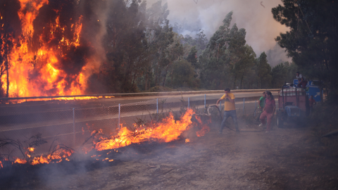 Foto: Felipe Carnotto. Foto: Felipe Carnotto.