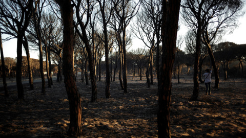 Un hombre toma fotos de la zona afectada por el fuego cerca de Doñana, en Matalascañas (Huelva). REUTERS/Jon Nazca Un hombre toma fotos de la zona afectada por el fuego cerca de Doñana, en Matalascañas (Huelva). REUTERS/Jon Nazca