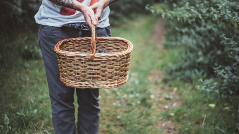 Una persona trabaja en un huerto. ANNIE SPRATT / UNSPLASH