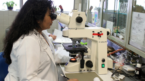 Técnica de laboratorio frente a un microscopio. / PIXABAY Técnica de laboratorio frente a un microscopio. / PIXABAY