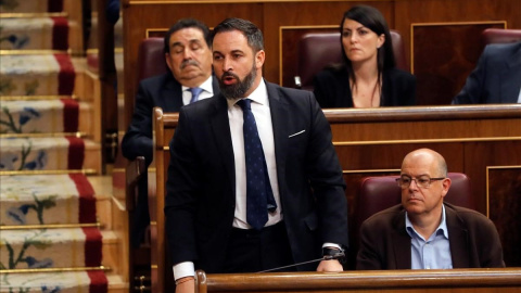 Santiago Abascal, en el Congreso. - EFE Santiago Abascal, en el Congreso. - EFE
