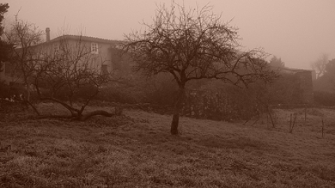 La casa vieja de Pescado (Vilarmao) La casa vieja de Pescado (Vilarmao)