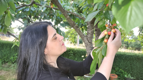 Olga Novo na súa casa de Vilarmao, Lugo. Foto: Ana Mosquera. Olga Novo na súa casa de Vilarmao, Lugo. Foto: Ana Mosquera.