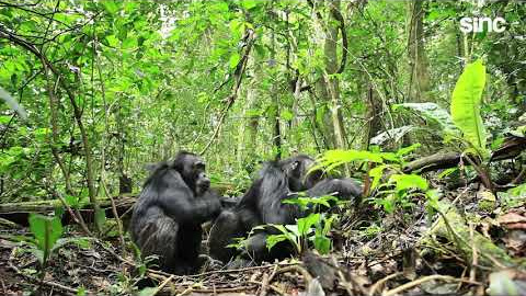 Un cambio social sin tener conciencia de la muerte Un cambio social sin tener conciencia de la muerte