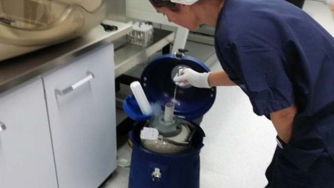Fotografía facilitada por Dexeus Mujer que junto a la Universidad Politécnica de Cataluña (UPC) han demostrado que el semen congelado mantiene su viabilidad en condiciones de ingravidez en el espacio. (EFE) Fotografía facilitada por Dexeus Mujer que junto a la Universidad Politécnica de Cataluña (UPC) han demostrado que el semen congelado mantiene su viabilidad en condiciones de ingravidez en el espacio. (EFE)