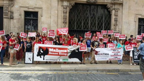Mallorca Sense Sang.- EUROPA PRESS Mallorca Sense Sang.- EUROPA PRESS