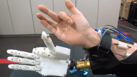 La mano robótica responde a los movimientos durante el experimento La mano robótica responde a los movimientos durante el experimento