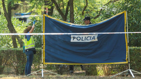 Agentes de Policía Científica y Homicidios de la Policía Nacional inspeccionan el lugar del Parque Amate de Sevilla.- EFE Agentes de Policía Científica y Homicidios de la Policía Nacional inspeccionan el lugar del Parque Amate de Sevilla.- EFE